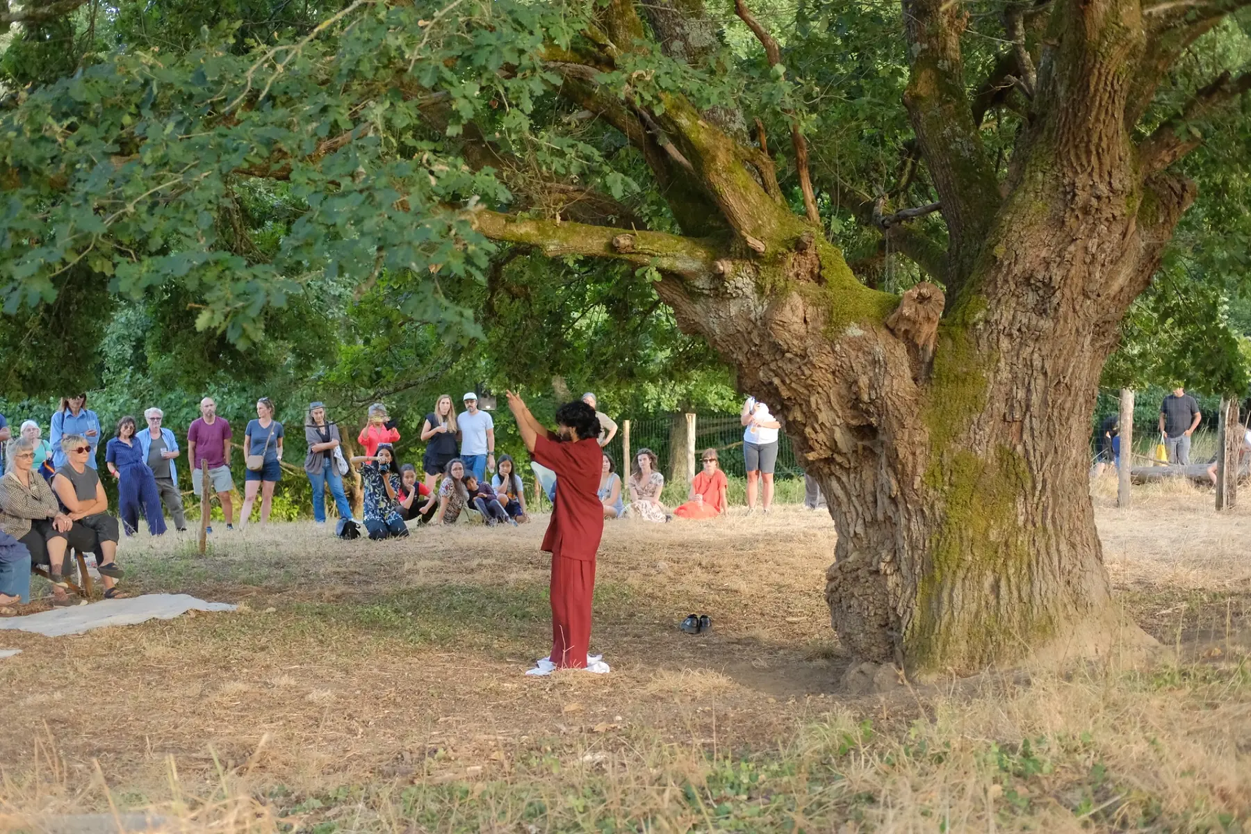 Harshit performing in red beneath a large tree before an outdoor audience